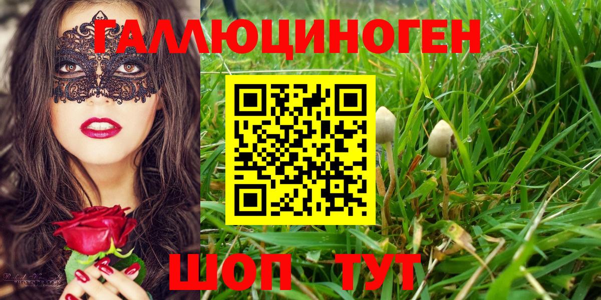Псилоцибиновые грибы MAGIC MUSHROOMS  Вход с VPN  Ревда 